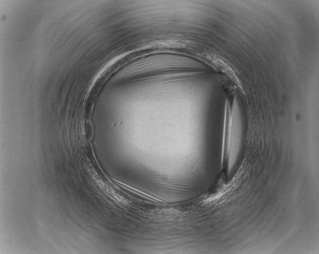 X0000060550784200511241224