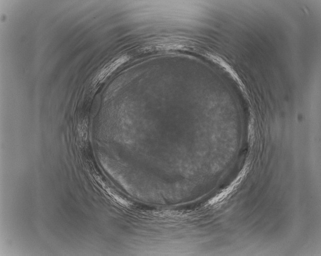 X0000060550785200511241224