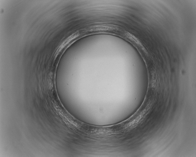 X0000060550786200511241224