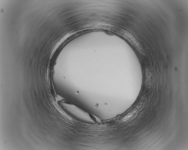 X0000060550788200511241224