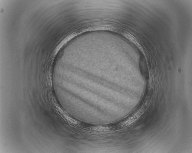 X0000060550789200511241224