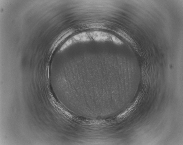 X0000060550790200511241224