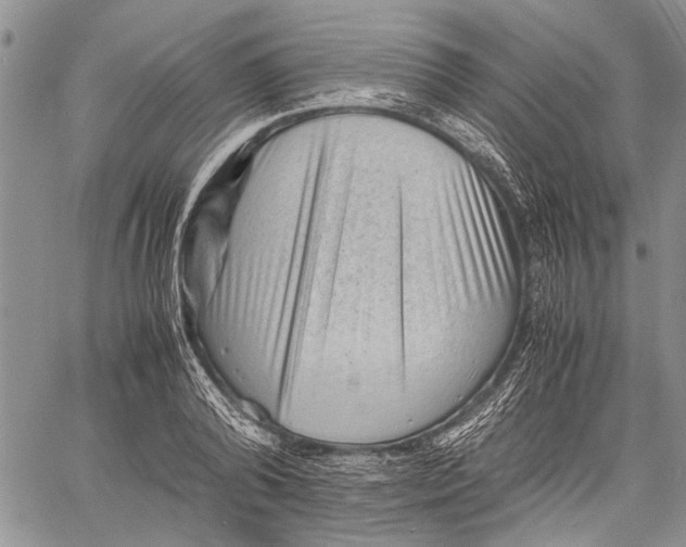 X0000060550792200511241224