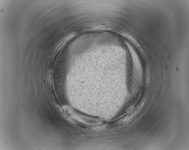 X0000060550793200511241224