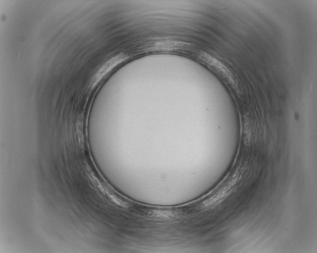 X0000060550794200511241224