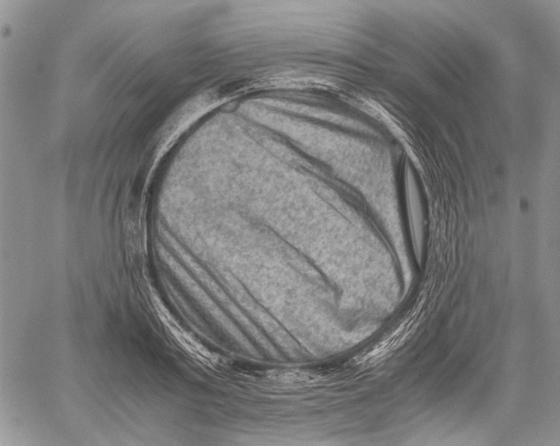 X0000060550795200511241224