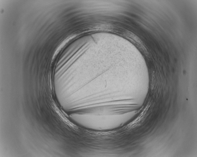 X0000060550796200511241224