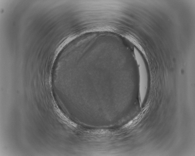 X0000060550797200511241224