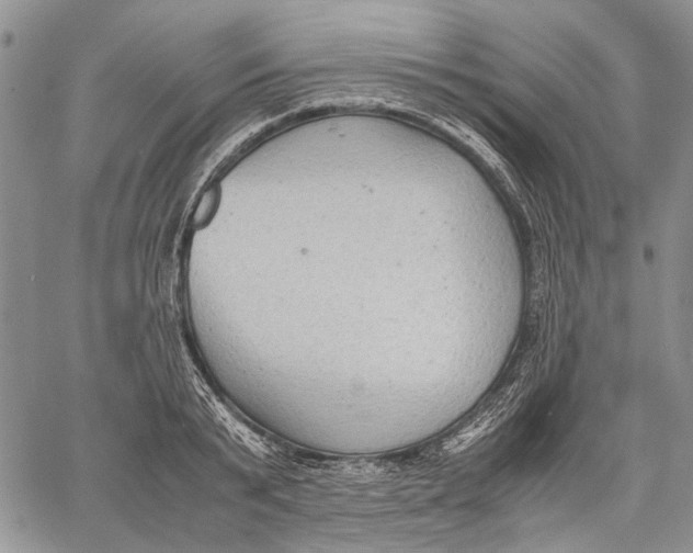 X0000060550799200511241224