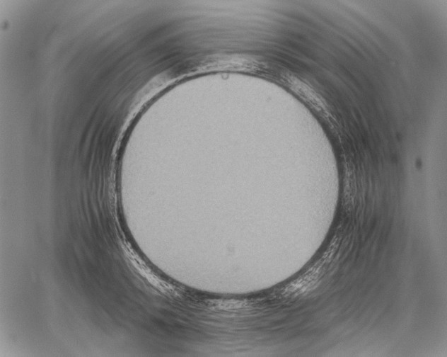 X0000060550800200511241224