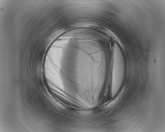 X0000060550802200511241224