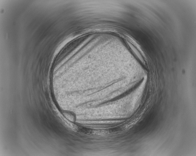 X0000060550803200511241224