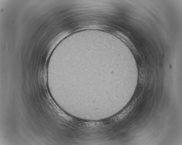 X0000060550804200511241224