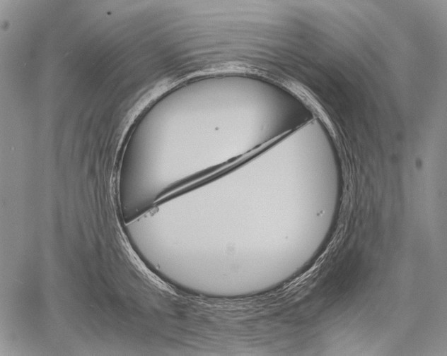 X0000060550805200511241224