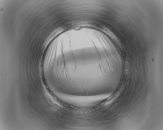 X0000060550806200511241224