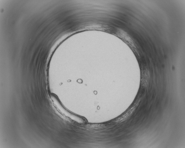 X0000060550808200511241224