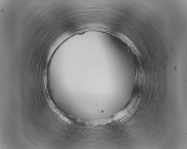 X0000060550812200511241224