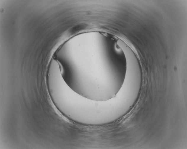 X0000060550813200511241224