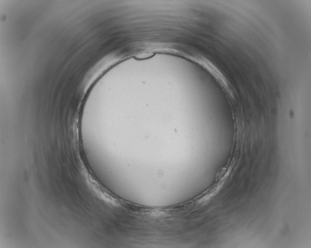 X0000060550814200511241224