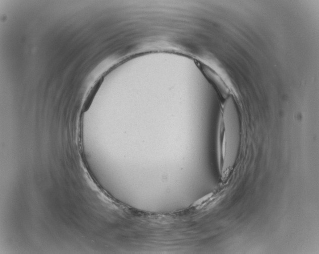 X0000060550815200511241223