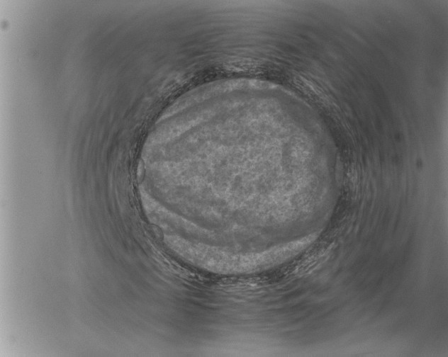 X0000060550817200511241223