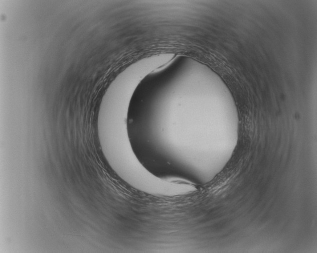 X0000060550818200511241223