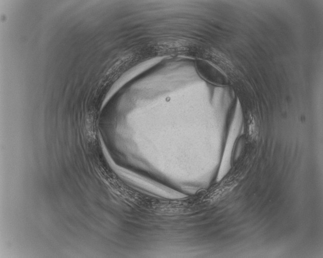 X0000060550819200511241223