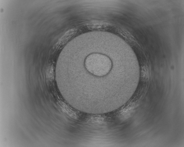 X0000060550820200511241223