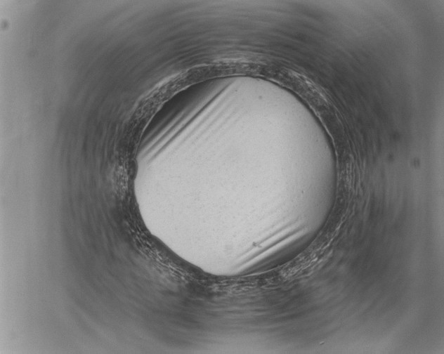 X0000060550821200511241223