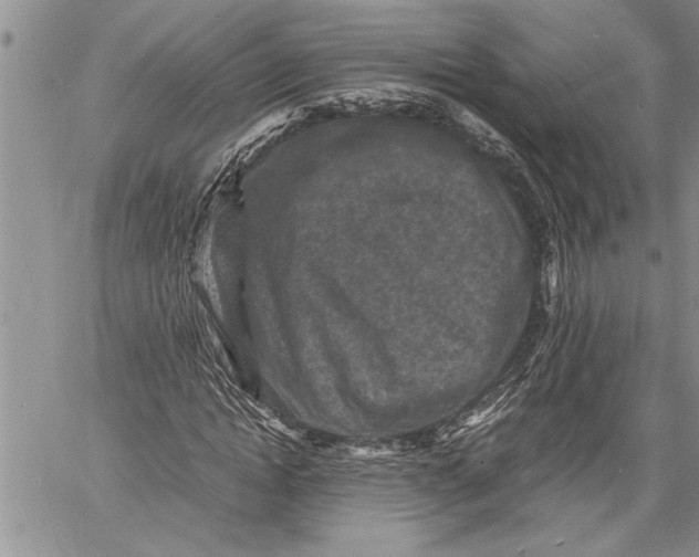 X0000060550822200511241223