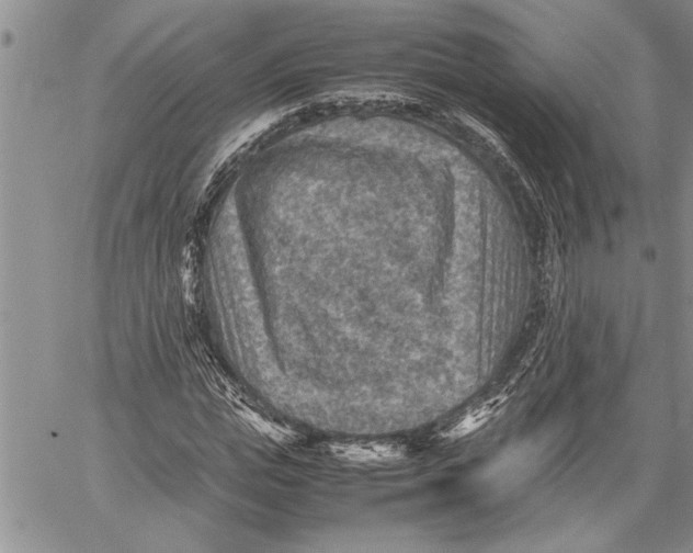 X0000060550823200511241223