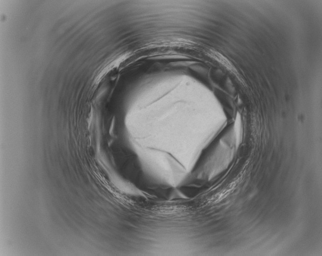 X0000060550826200511241223