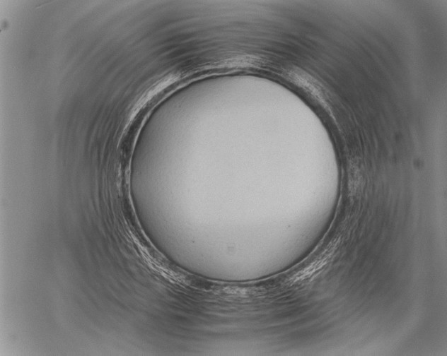 X0000060550827200511241223