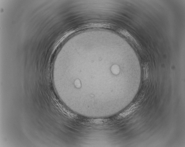 X0000060550828200511241223