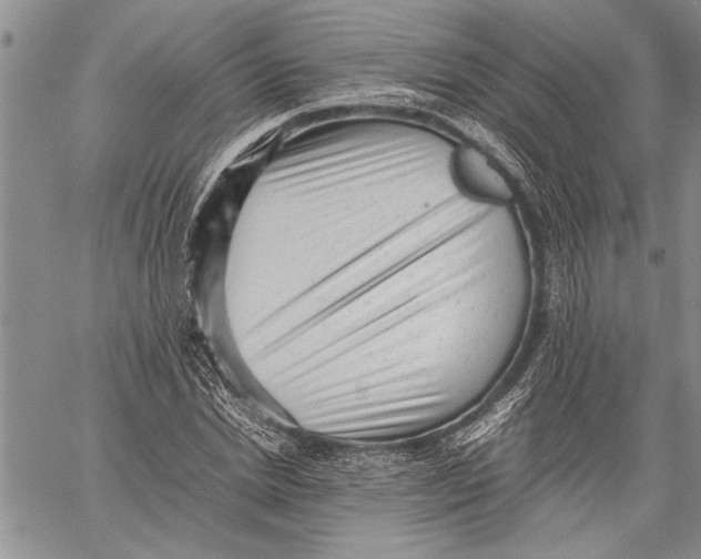 X0000060550830200511241223