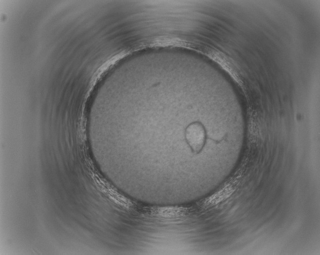 X0000060550832200511241223