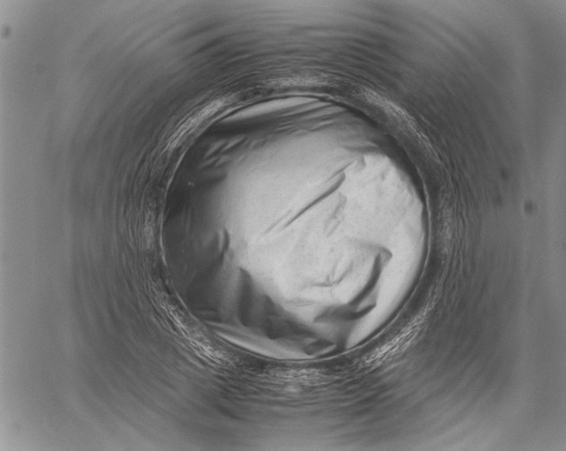 X0000060550833200511241223