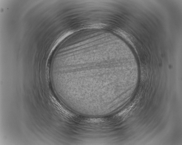 X0000060550835200511241223