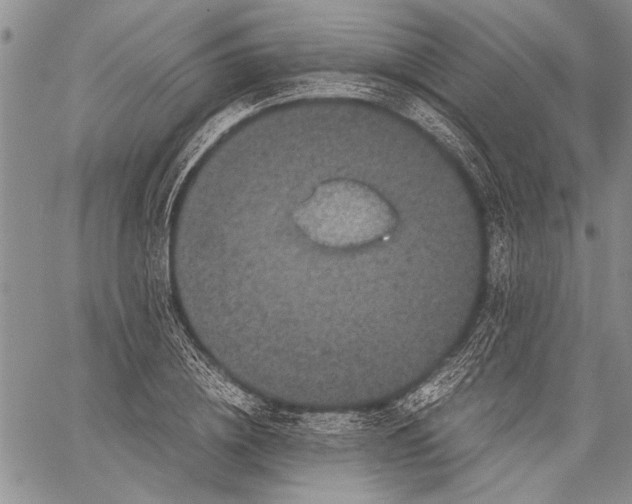 X0000060550836200511241223