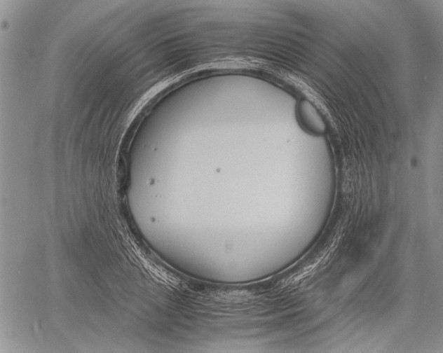 X0000060550837200511241223