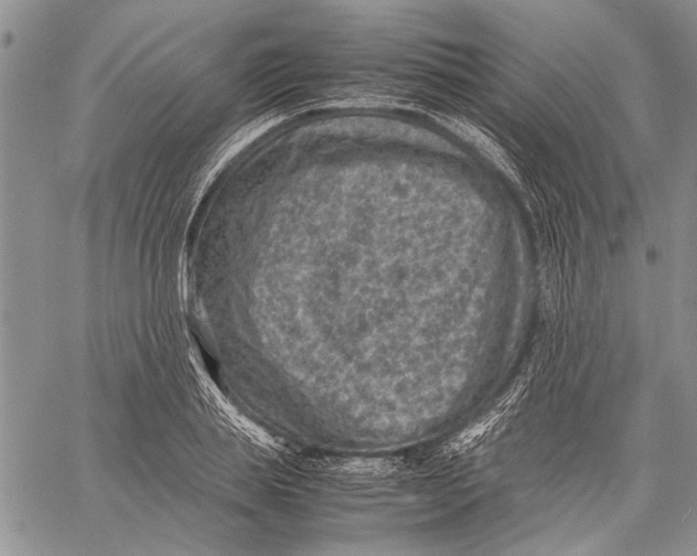 X0000060550839200511241223