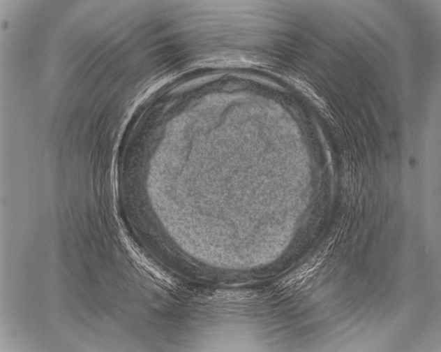 X0000060550840200511241223