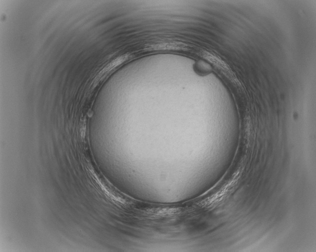 X0000060550841200511241223