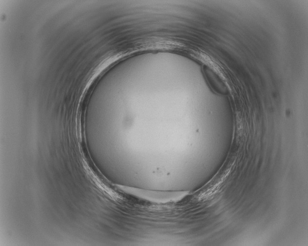 X0000060550843200511241223