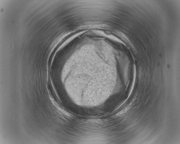 X0000060550844200511241223