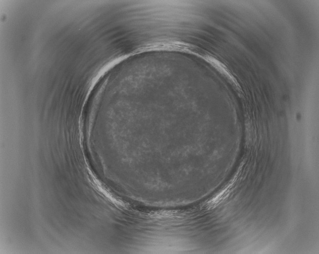 X0000060550846200511241223