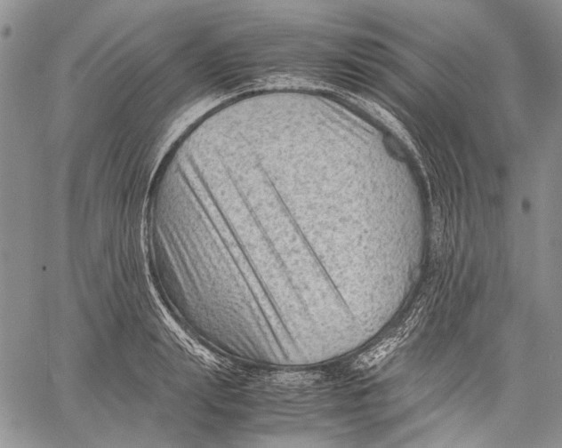 X0000060550847200511241223