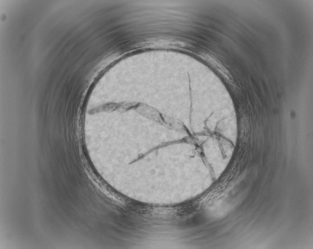 X0000060550848200511241223