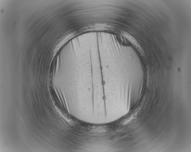 X0000060550850200511241223