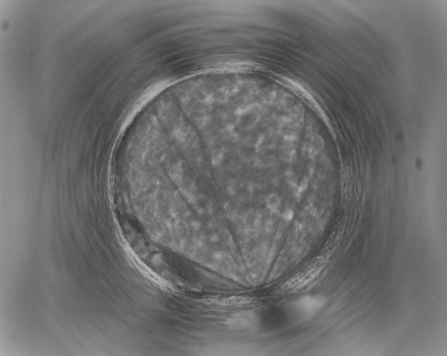 X0000060550851200511241223